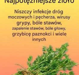 Naturalny środek na pasożyty i drogi moczowe