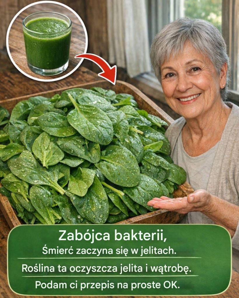 Zabójca bakterii: śmierć zaczyna się w jelitach. Ta roślina oczyszcza jelita i wątrobę. Podam ci przepis na prostego OK.