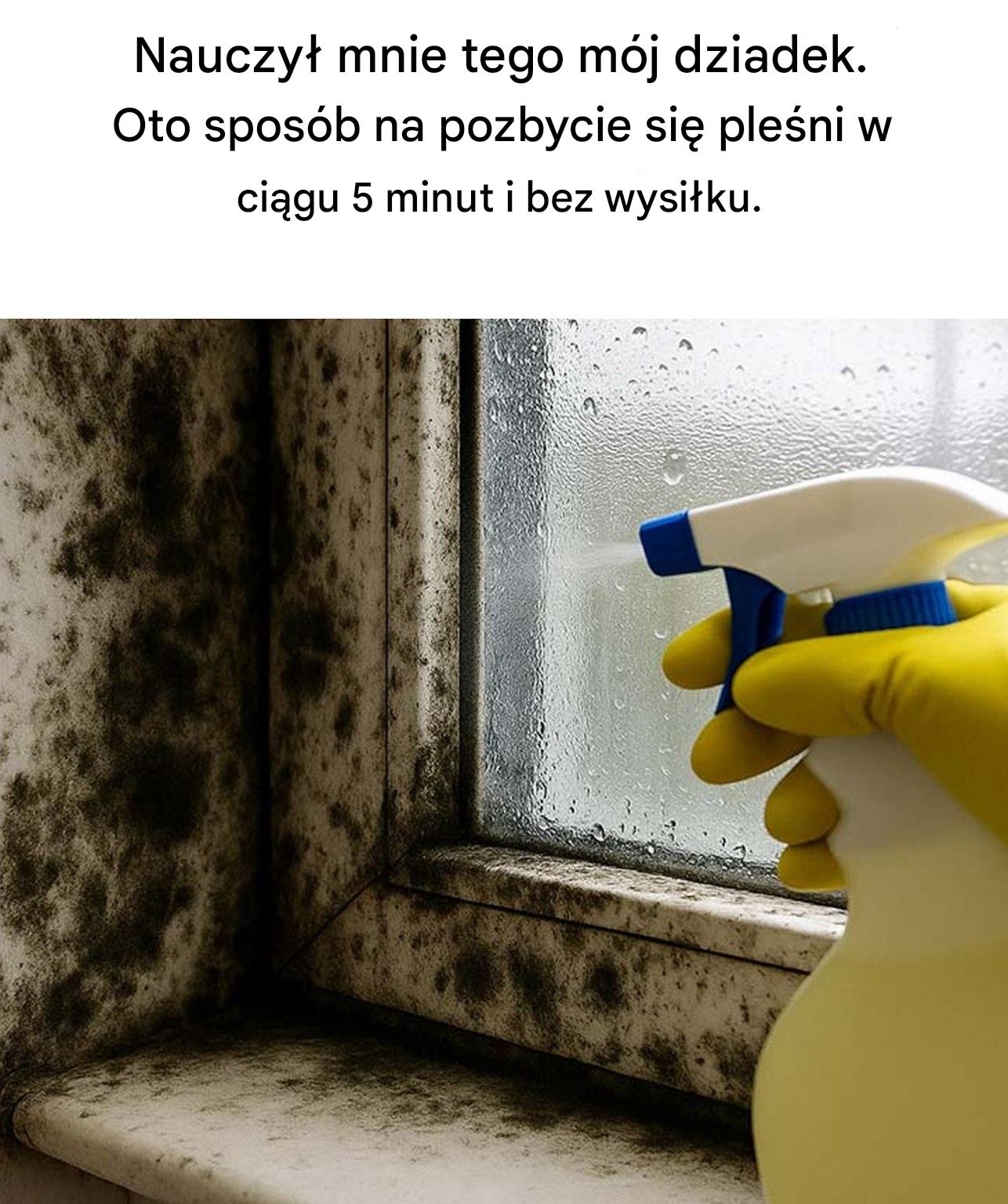 Rozwiązanie naszych babć pozwalające błyskawicznie pozbyć się pleśni.