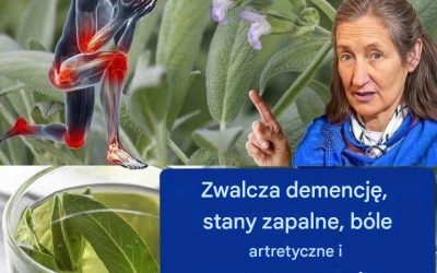Szałwia: botaniczny skarb o nieocenionych właściwościach zdrowotnych