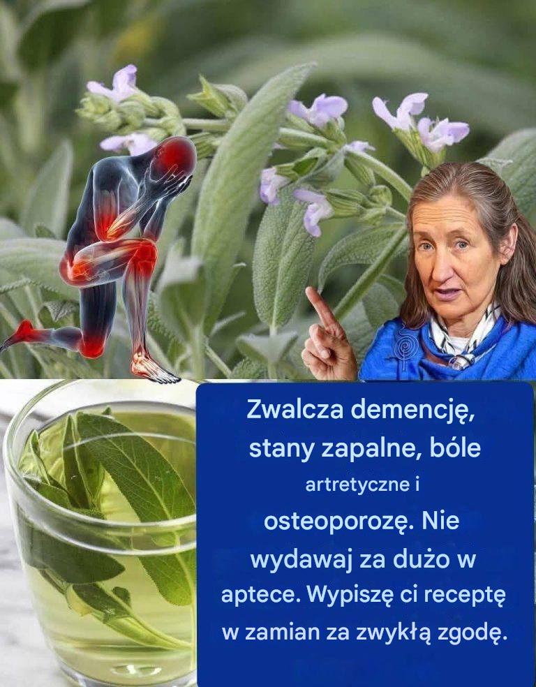 Szałwia: botaniczny skarb o nieocenionych właściwościach zdrowotnych
