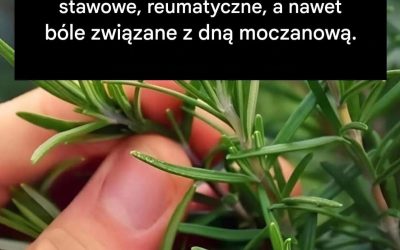 Uspokajający napar