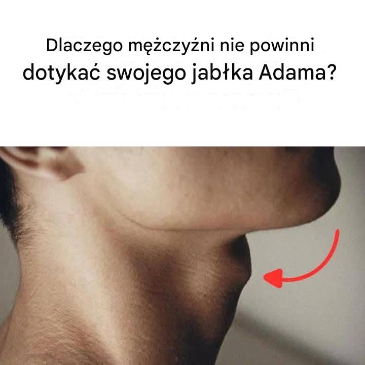 Dlaczego mężczyźni nie powinni dotykać swojego jabłka Adama?