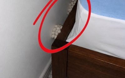 Wróciłem do domu wyczerpany, licząc na spokojną noc, ale pewien szczegół uświadomił mi, że coś jest nie tak.