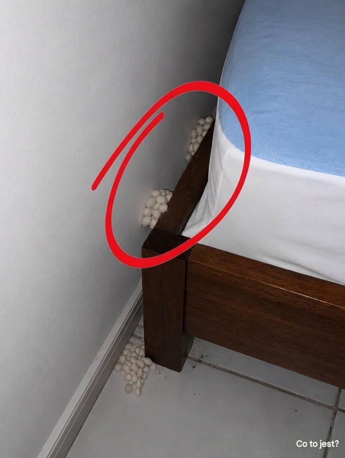Wróciłem do domu wyczerpany, licząc na spokojną noc, ale pewien szczegół uświadomił mi, że coś jest nie tak.