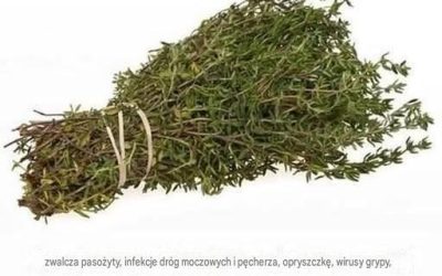 SILNIEJSZE ZIOŁA, KTÓRE NISZCZĄ PASOŻYTY, INFEKCJE DRÓG MOCZOWYCH I PĘCHERZA, OPRYSZCZKĘ I WPŁYWAJĄ NA WIRUSY