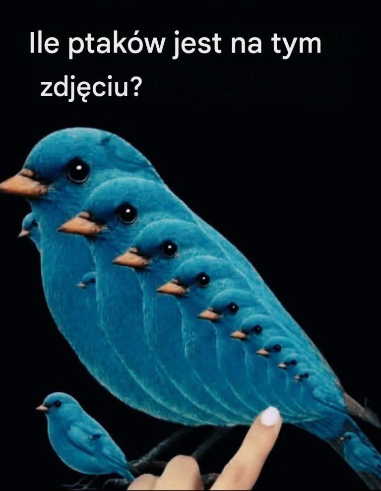 🧩Ile ptaków widzisz? Kliknij link, aby zobaczyć wynik.