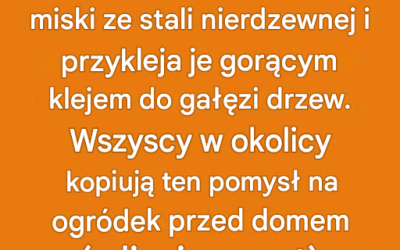 Świecące lampki ogrodowe w kształcie grzybów