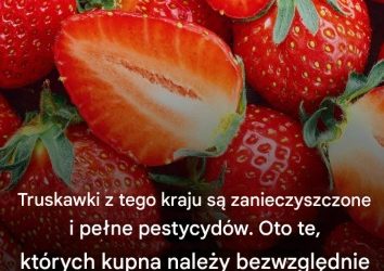 Truskawek z tego kraju należy bezwzględnie…Zobacz więcej
