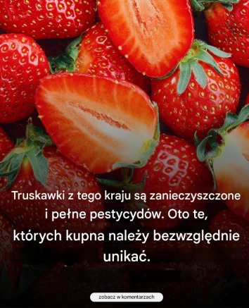 Truskawek z tego kraju należy bezwzględnie…Zobacz więcej