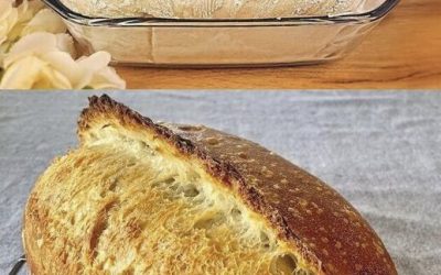 Domowy chleb, przepis sprzedany 100 lat; nigdy więcej nie kupisz chleba!
