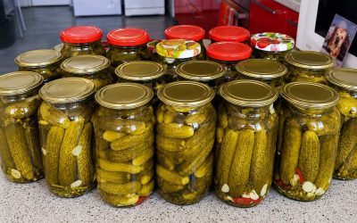 Muista tämä resepti koko kauden ajan: Paras resepti suolakurkuille ilman keitettyä suolavettä, älä etsi enää!