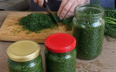 🌿Koperek stanie się rarytasem, jeśli wszyscy poznają ten genialny przepis!