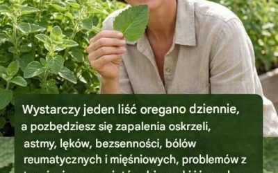 🌿Jeden list dzienny: Ukryta moc oregano Orejon 🌱Mały listek, który po cichu podbija świat wellness, gdy pojawia się ryzyko wystąpienia zmian. Nowy suplement. Nowy trening. Nowa dieta. Ale od czasu do czasu prosta roślina — coś skromnego i…