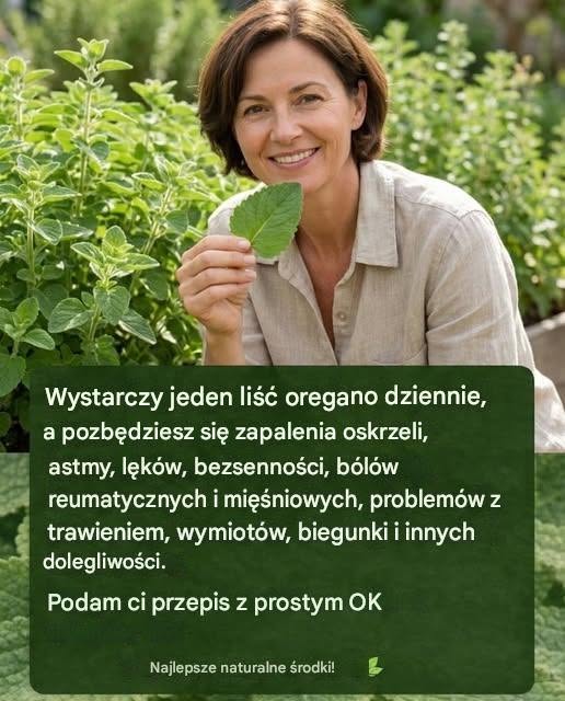 🌿Jeden list dzienny: Ukryta moc oregano Orejon 🌱Mały listek, który po cichu podbija świat wellness, gdy pojawia się ryzyko wystąpienia zmian. Nowy suplement. Nowy trening. Nowa dieta. Ale od czasu do czasu prosta roślina — coś skromnego i…