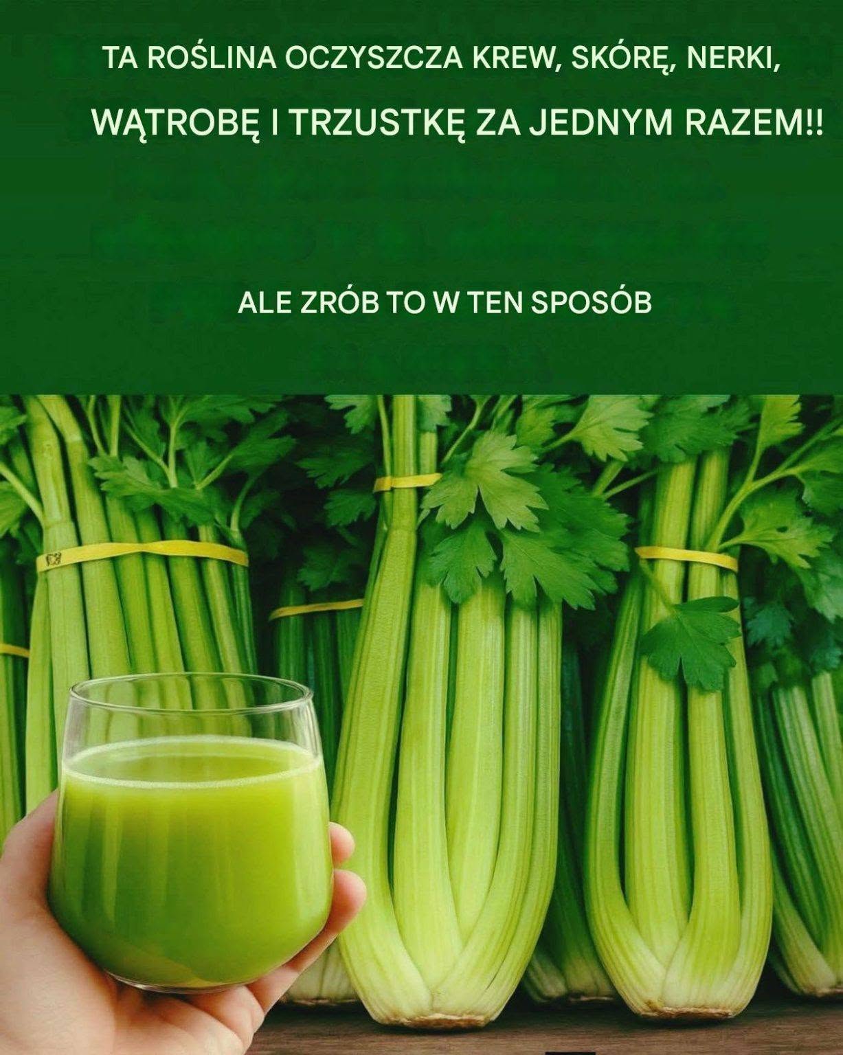 Sok z selera na pusty żołądek: naturalnie oczyszcza krew, nerki i wątrobę. Envoyer des commentaires Appuyer sur Tabulation pour les actions