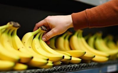 Pierwsze 6 kroków, które musisz bezwzględnie wykonać, to podjęcie decyzji!