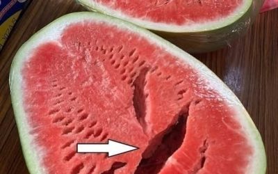 Przeciąłeś arbuza i zobaczyłeś pęknięcia? Natychmiast przestań go jeść! Oto, co to oznacza!
