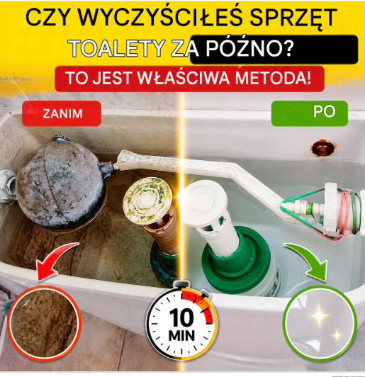 Jak wyczyścić spłuczkę toalety: prosta metoda, która usuwa kamień, plamy i nieprzyjemne zapachy