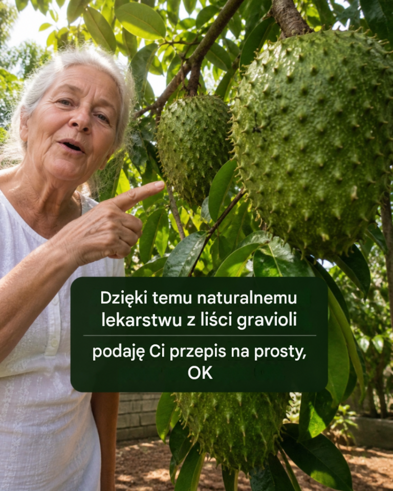 Zredukuj stany zapalne i wzmocnij swój organizm dzięki temu naturalnemu lekarstwu z liści gravioli. Podam Ci przepis na proste „OK”.
