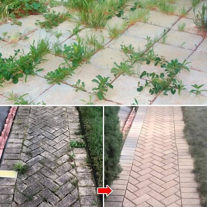 Jak pozbyć się chwastów naturalnie i na zawsze