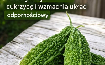 Roślina, która zabija komórki rakowe, zatrzymuje cukrzycę i wzmacnia układ odpornościowy