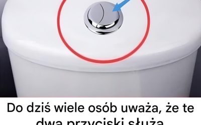 Wiele osób uważa, że ​​te dwa przyciski służą tylko do spłukiwania toalety.