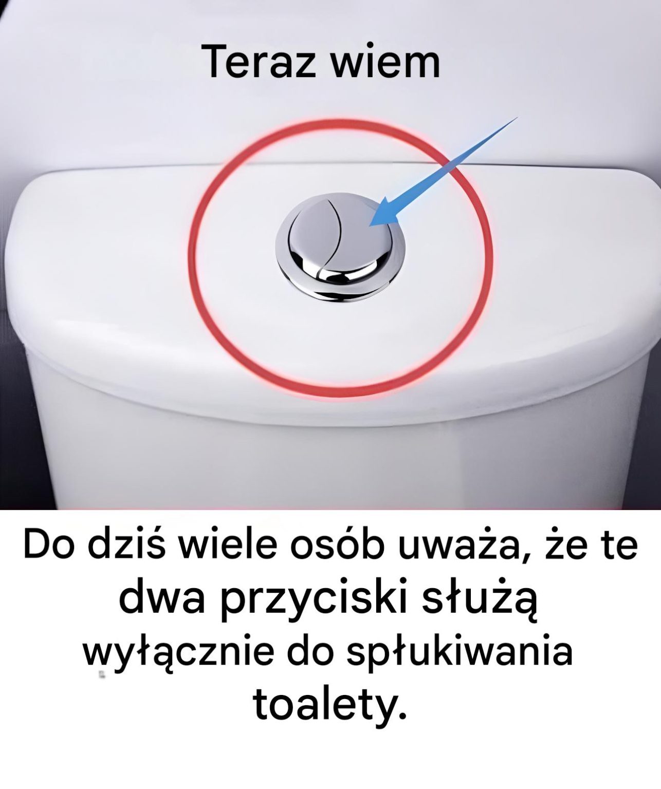 Wiele osób uważa, że ​​te dwa przyciski służą tylko do spłukiwania toalety.