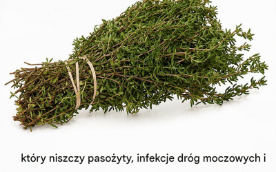 NAJSILNIEJSZA ROŚLINA, KTÓRA USUWA PASOŻYTY, INFEKCJE DRÓG MOCZOWYCH…
